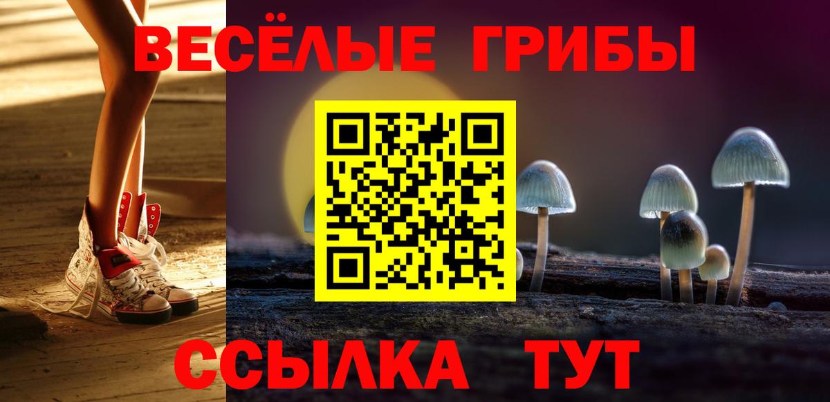 Псилоцибиновые грибы MAGIC MUSHROOMS  Вход с VPN  Коломна 